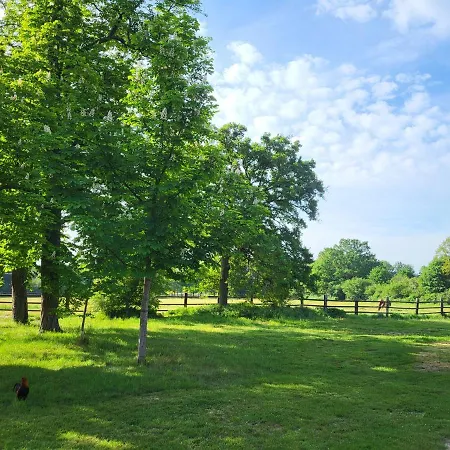 Holiday home Les Ecuries Du Chateau - 5 Minutes Circuit Des 24 H Du Mans - 7 Personnes Monce-en-Belin