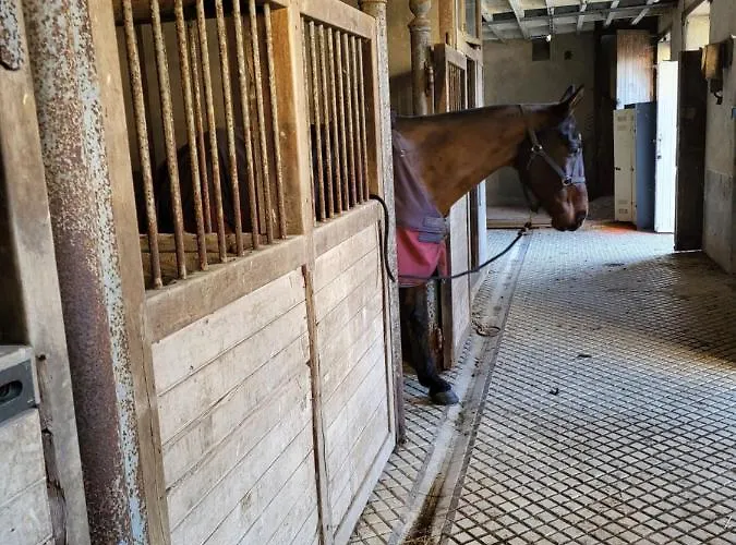 Les Ecuries Du Chateau - 5 Minutes Circuit Des 24 H Du Mans - 7 Personnes Moncé-en-Belin