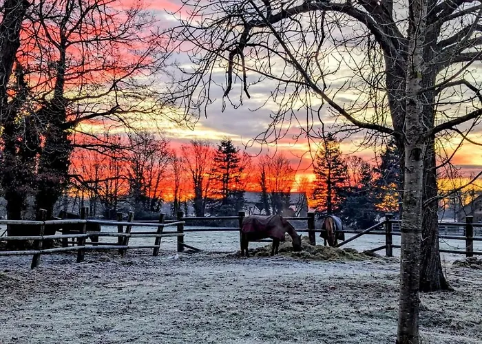 Les Ecuries Du Chateau - 5 Minutes Circuit Des 24 H Du Mans - 7 Personnes 度假居 Moncé-en-Belin